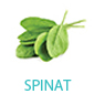 spinat